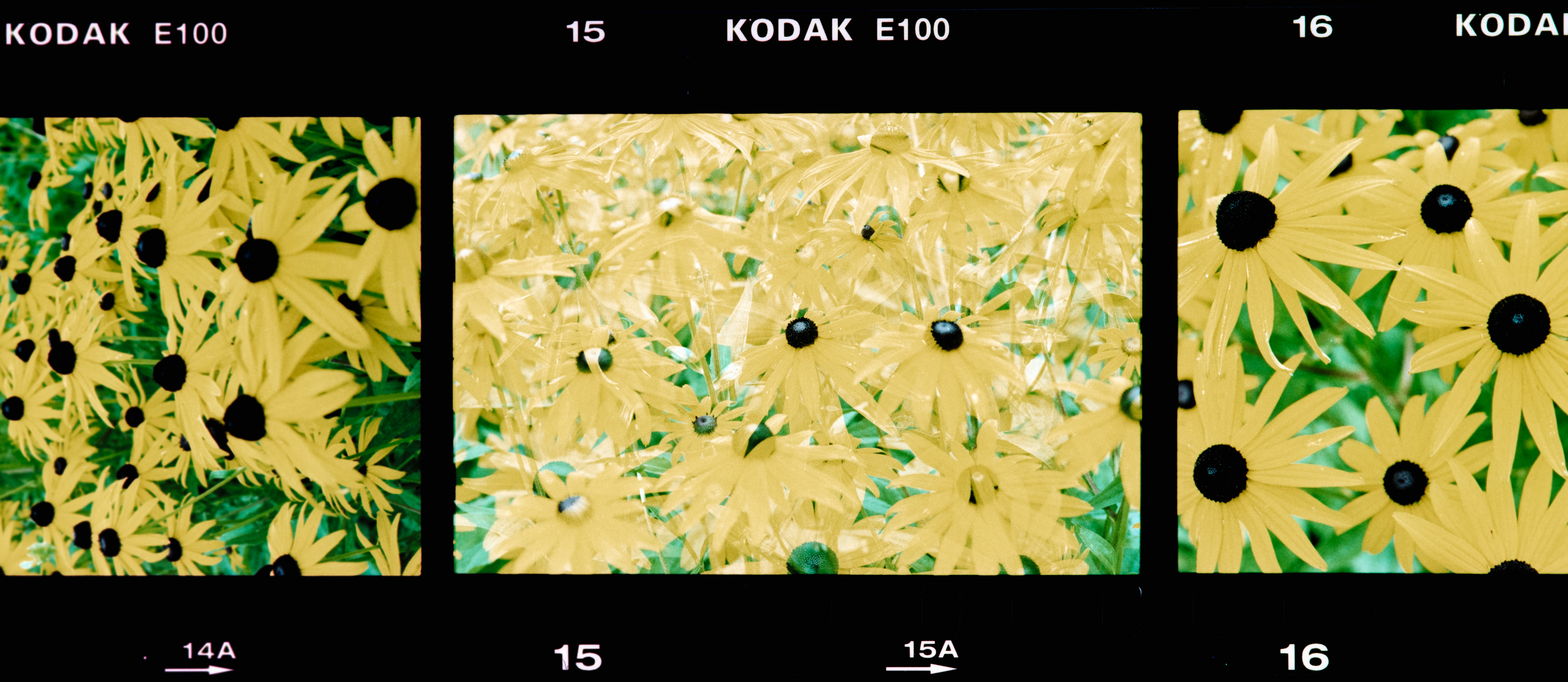 Film processing